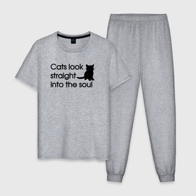 Мужская пижама хлопок с принтом Cats look straight into the soul , 100% хлопок | брюки и футболка прямого кроя, без карманов, на брюках мягкая резинка на поясе и по низу штанин
 | 