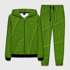 Мужской костюм 3D с принтом Зеленый лист текстура в Курске, 100% полиэстер | Манжеты и пояс оформлены тканевой резинкой, двухслойный капюшон со шнурком для регулировки, карманы спереди | 