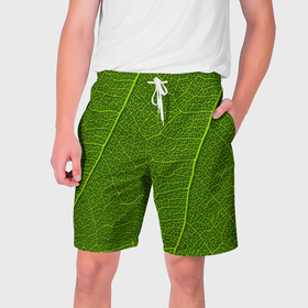 Мужские шорты 3D с принтом Зеленый лист текстура в Екатеринбурге,  полиэстер 100% | прямой крой, два кармана без застежек по бокам. Мягкая трикотажная резинка на поясе, внутри которой широкие завязки. Длина чуть выше колен | Тематика изображения на принте: 