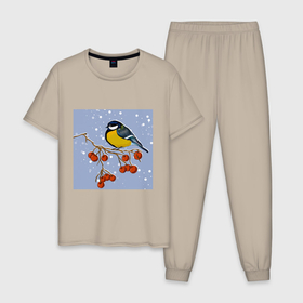 Мужская пижама хлопок с принтом Синица в Тюмени, 100% хлопок | брюки и футболка прямого кроя, без карманов, на брюках мягкая резинка на поясе и по низу штанин
 | Тематика изображения на принте: 
