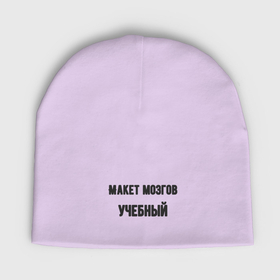 Мужская шапка демисезонная с принтом Макет мозгов учебный в Новосибирске,  |  | Тематика изображения на принте: 