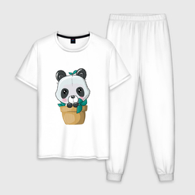 Мужская пижама хлопок с принтом Милая панда в цветочном горшке в Кировске, 100% хлопок | брюки и футболка прямого кроя, без карманов, на брюках мягкая резинка на поясе и по низу штанин
 | Тематика изображения на принте: 