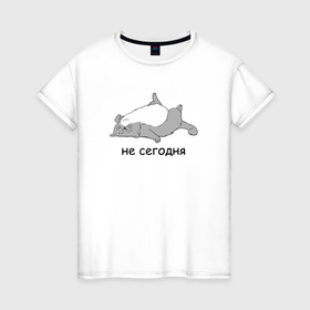 Женская футболка хлопок с принтом Не сегодня кот в Санкт-Петербурге, 100% хлопок | прямой крой, круглый вырез горловины, длина до линии бедер, слегка спущенное плечо | 