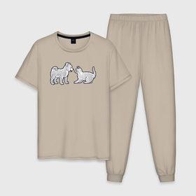 Мужская пижама хлопок с принтом Собачка кошечка в Курске, 100% хлопок | брюки и футболка прямого кроя, без карманов, на брюках мягкая резинка на поясе и по низу штанин
 | 