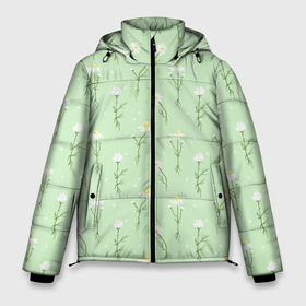Мужская зимняя куртка 3D с принтом Нежные дикие ромашки в Кировске, верх — 100% полиэстер; подкладка — 100% полиэстер; утеплитель — 100% полиэстер | длина ниже бедра, свободный силуэт Оверсайз. Есть воротник-стойка, отстегивающийся капюшон и ветрозащитная планка. 

Боковые карманы с листочкой на кнопках и внутренний карман на молнии. | Тематика изображения на принте: 