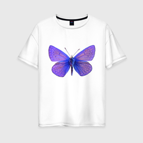 Женская футболка хлопок Oversize с принтом Сиреневая бабочка настоящая , 100% хлопок | свободный крой, круглый ворот, спущенный рукав, длина до линии бедер
 | 
