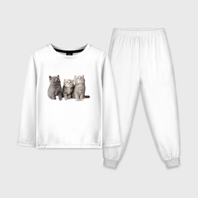 Детская пижама с лонгсливом хлопок с принтом Три пушистых котенка в Курске,  |  | Тематика изображения на принте: 