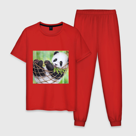 Мужская пижама хлопок с принтом Панда медвед в Кировске, 100% хлопок | брюки и футболка прямого кроя, без карманов, на брюках мягкая резинка на поясе и по низу штанин
 | Тематика изображения на принте: 