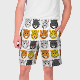 Мужские шорты 3D с принтом Дикие цветные кошки в Екатеринбурге,  полиэстер 100% | прямой крой, два кармана без застежек по бокам. Мягкая трикотажная резинка на поясе, внутри которой широкие завязки. Длина чуть выше колен | 