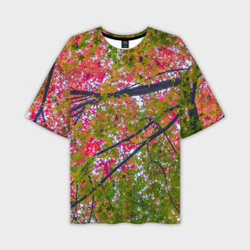 Мужская футболка oversize 3D с принтом Кленовые ветви с осенней листвой в Курске,  |  | 