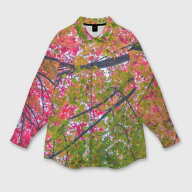 Мужская рубашка oversize 3D с принтом Кленовые ветви с осенней листвой в Курске,  |  | 