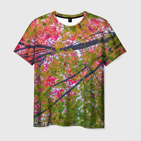 Мужская футболка 3D с принтом Кленовые ветви с осенней листвой в Белгороде, 100% полиэфир | прямой крой, круглый вырез горловины, длина до линии бедер | 