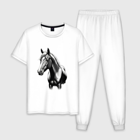 Мужская пижама хлопок с принтом Портрет лошади , 100% хлопок | брюки и футболка прямого кроя, без карманов, на брюках мягкая резинка на поясе и по низу штанин
 | 