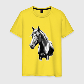 Мужская футболка хлопок с принтом Портрет лошади , 100% хлопок | прямой крой, круглый вырез горловины, длина до линии бедер, слегка спущенное плечо. | 