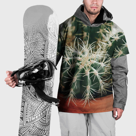 Накидка на куртку 3D с принтом Кактусы   фотография в Санкт-Петербурге, 100% полиэстер |  | 