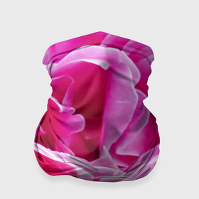 Бандана-труба 3D с принтом Ярко розовая роза в Екатеринбурге, 100% полиэстер, ткань с особыми свойствами — Activecool | плотность 150‒180 г/м2; хорошо тянется, но сохраняет форму | Тематика изображения на принте: 