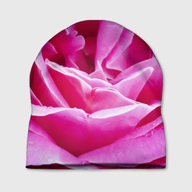 Шапка 3D с принтом Ярко розовая роза , 100% полиэстер | универсальный размер, печать по всей поверхности изделия | 