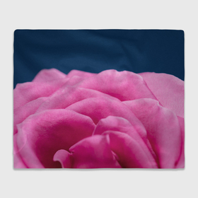 Плед 3D с принтом Розовая распустившаяся роза на темном в Тюмени, 100% полиэстер | закругленные углы, все края обработаны. Ткань не мнется и не растягивается | Тематика изображения на принте: 