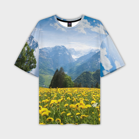 Мужская футболка oversize 3D с принтом Природный пейзаж с одуванчиками и горами ,  |  | 
