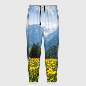 Мужские брюки 3D с принтом Природный пейзаж с одуванчиками и горами , 100% полиэстер | манжеты по низу, эластичный пояс регулируется шнурком, по бокам два кармана без застежек, внутренняя часть кармана из мелкой сетки | 