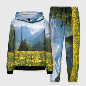 Мужской костюм с толстовкой 3D с принтом Природный пейзаж с одуванчиками и горами ,  |  | 