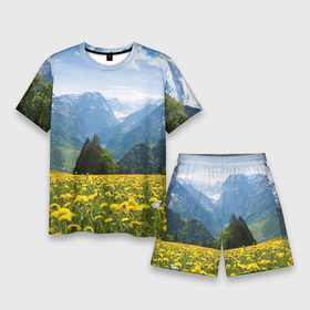 Мужской костюм с шортами 3D с принтом Природный пейзаж с одуванчиками и горами ,  |  | Тематика изображения на принте: 