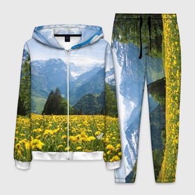 Мужской костюм 3D с принтом Природный пейзаж с одуванчиками и горами , 100% полиэстер | Манжеты и пояс оформлены тканевой резинкой, двухслойный капюшон со шнурком для регулировки, карманы спереди | 