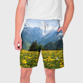 Мужские шорты 3D с принтом Природный пейзаж с одуванчиками и горами ,  полиэстер 100% | прямой крой, два кармана без застежек по бокам. Мягкая трикотажная резинка на поясе, внутри которой широкие завязки. Длина чуть выше колен | 