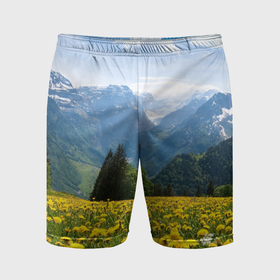 Мужские шорты спортивные с принтом Природный пейзаж с одуванчиками и горами ,  |  | 