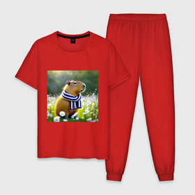 Мужская пижама хлопок с принтом Мем капибара в шарфике и ромашковое поле летом в Кировске, 100% хлопок | брюки и футболка прямого кроя, без карманов, на брюках мягкая резинка на поясе и по низу штанин
 | 