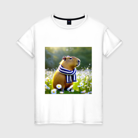 Женская футболка хлопок с принтом Мем капибара в шарфике и ромашковое поле летом в Белгороде, 100% хлопок | прямой крой, круглый вырез горловины, длина до линии бедер, слегка спущенное плечо | 