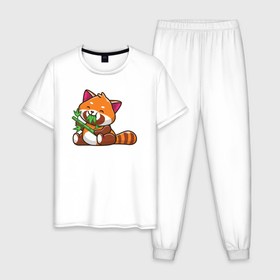 Мужская пижама хлопок с принтом Красная панда обедает , 100% хлопок | брюки и футболка прямого кроя, без карманов, на брюках мягкая резинка на поясе и по низу штанин
 | 