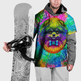 Накидка на куртку 3D с принтом Цветной шпиц в Кировске, 100% полиэстер |  | Тематика изображения на принте: 