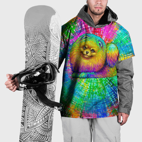 Накидка на куртку 3D с принтом Цветной шпиц в Кировске, 100% полиэстер |  | Тематика изображения на принте: 