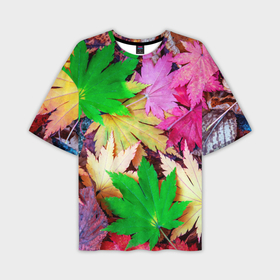 Мужская футболка oversize 3D с принтом Разноцветные осенние листья в Санкт-Петербурге,  |  | 