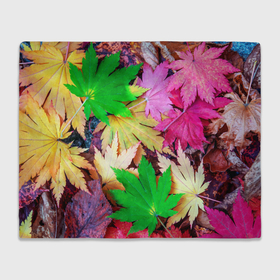 Плед 3D с принтом Разноцветные осенние листья , 100% полиэстер | закругленные углы, все края обработаны. Ткань не мнется и не растягивается | 