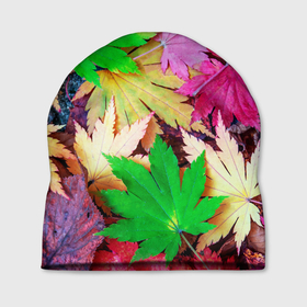 Шапка 3D с принтом Разноцветные осенние листья в Курске, 100% полиэстер | универсальный размер, печать по всей поверхности изделия | 