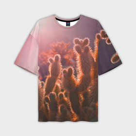 Мужская футболка oversize 3D с принтом Пустынные кактусы в Кировске,  |  | 