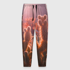 Мужские брюки 3D с принтом Пустынные кактусы в Кировске, 100% полиэстер | манжеты по низу, эластичный пояс регулируется шнурком, по бокам два кармана без застежек, внутренняя часть кармана из мелкой сетки | Тематика изображения на принте: 