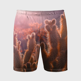 Мужские шорты спортивные с принтом Пустынные кактусы в Кировске,  |  | 