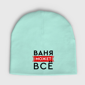 Мужская шапка демисезонная с принтом Ваня может все на свете в Новосибирске,  |  | Тематика изображения на принте: 