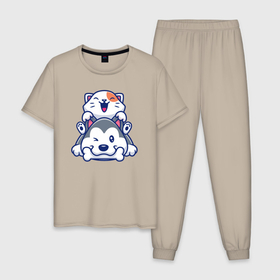 Мужская пижама хлопок с принтом Cat and dog в Кировске, 100% хлопок | брюки и футболка прямого кроя, без карманов, на брюках мягкая резинка на поясе и по низу штанин
 | 