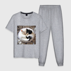 Мужская пижама хлопок с принтом Два любящих котика обнимаются клубочком в Новосибирске, 100% хлопок | брюки и футболка прямого кроя, без карманов, на брюках мягкая резинка на поясе и по низу штанин
 | 