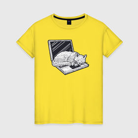 Женская футболка хлопок с принтом Кошка спит на ноутбуке в Екатеринбурге, 100% хлопок | прямой крой, круглый вырез горловины, длина до линии бедер, слегка спущенное плечо | Тематика изображения на принте: 
