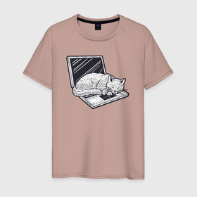 Мужская футболка хлопок с принтом Кошка спит на ноутбуке в Екатеринбурге, 100% хлопок | прямой крой, круглый вырез горловины, длина до линии бедер, слегка спущенное плечо. | Тематика изображения на принте: 