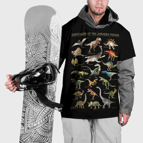 Накидка на куртку 3D с принтом Dinosaurs of the Jurassic period , 100% полиэстер |  | Тематика изображения на принте: 