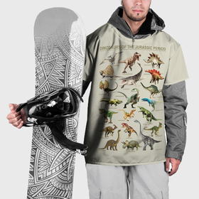 Накидка на куртку 3D с принтом Динозавры юрского периода в Тюмени, 100% полиэстер |  | 