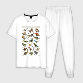 Мужская пижама хлопок с принтом Dinosaurs of Jurassic period в Новосибирске, 100% хлопок | брюки и футболка прямого кроя, без карманов, на брюках мягкая резинка на поясе и по низу штанин
 | Тематика изображения на принте: 