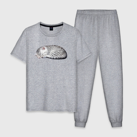 Мужская пижама хлопок с принтом Спящий серый полосатый котенок в Санкт-Петербурге, 100% хлопок | брюки и футболка прямого кроя, без карманов, на брюках мягкая резинка на поясе и по низу штанин
 | 