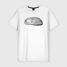 Мужская футболка хлопок Slim с принтом Спящий серый полосатый котенок , 92% хлопок, 8% лайкра | приталенный силуэт, круглый вырез ворота, длина до линии бедра, короткий рукав | 